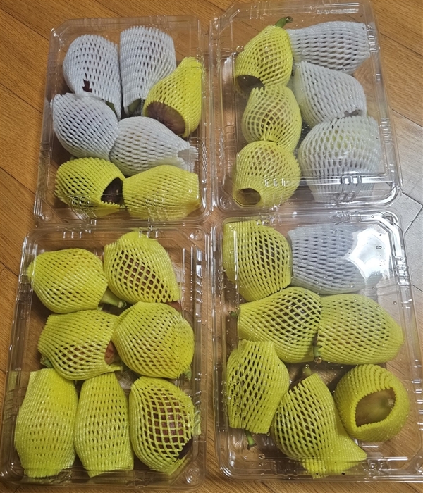 20250901080717280_1000085314.jpg
