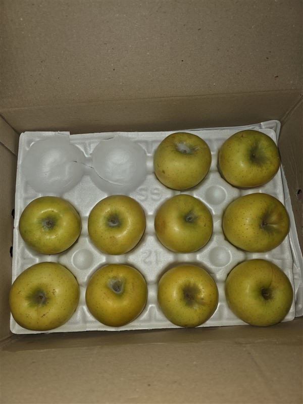 20261014101722974_4659.jpg